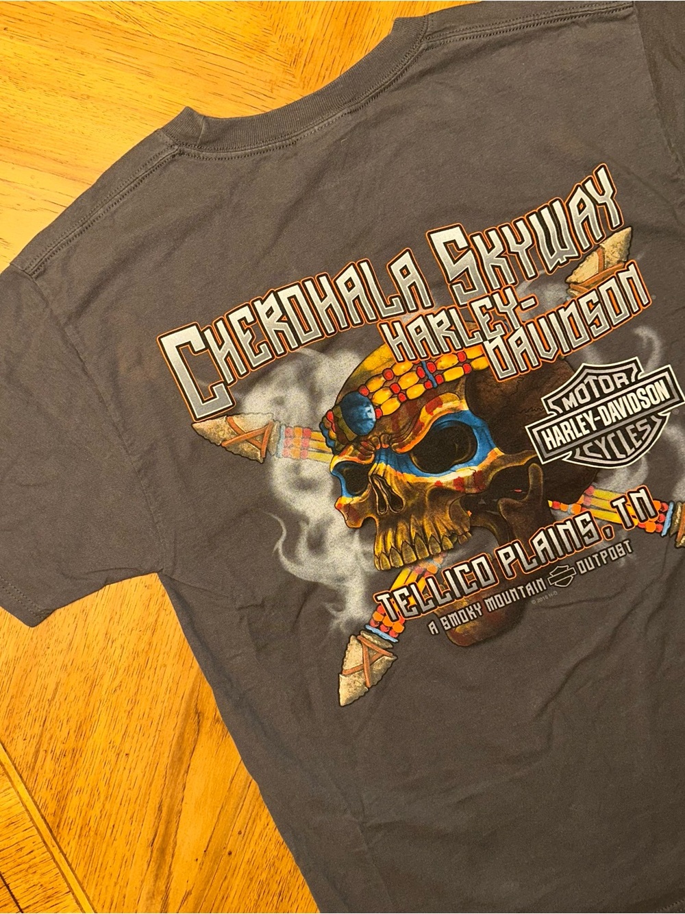 Harley Davidson Cherohala Skyway TShirt Mens Medium Gray Skull Tellico Plains TN